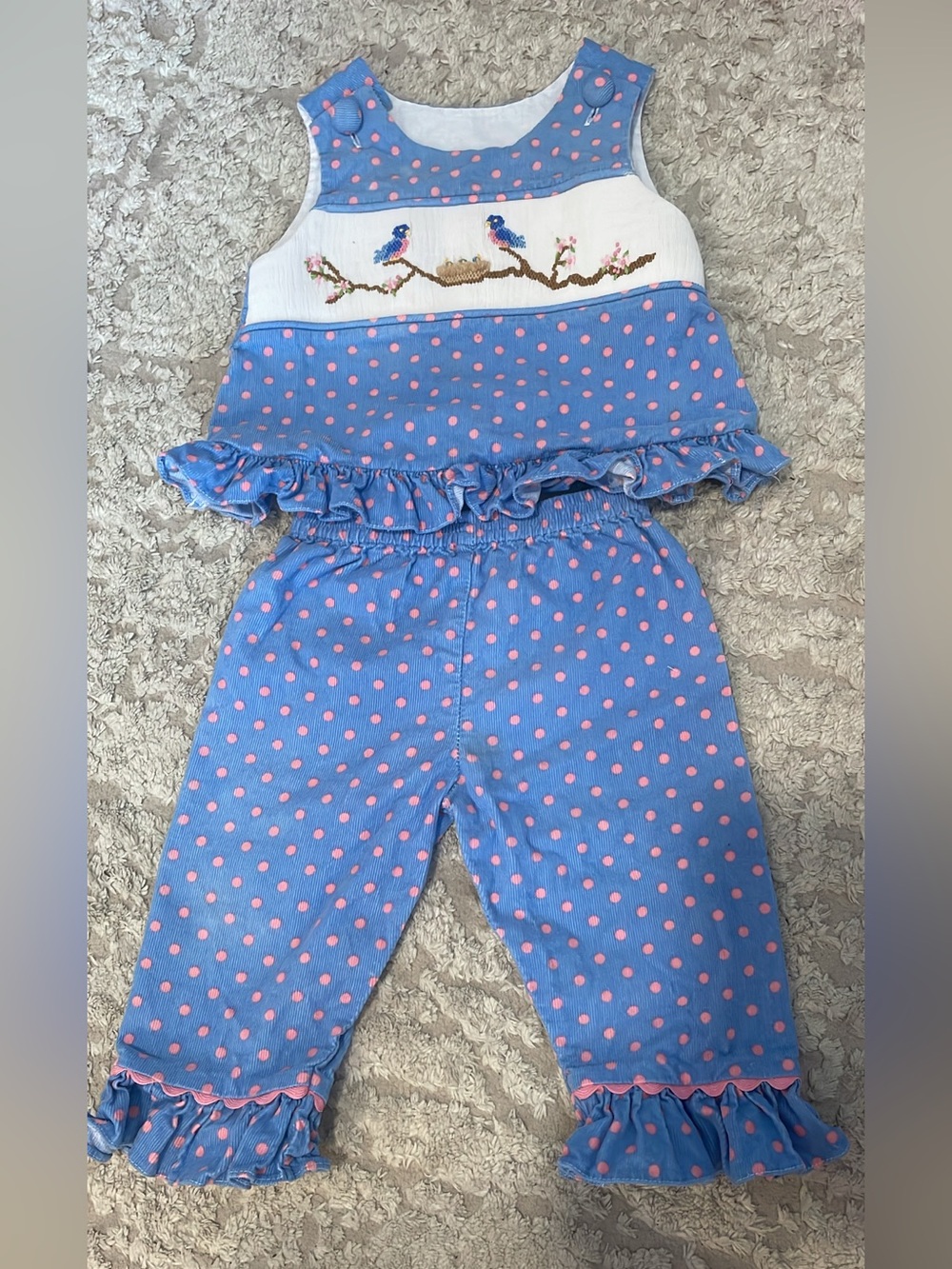 Blue and Pink Polka Dot Ruffle Kids Pants Set with Bird Embroidery